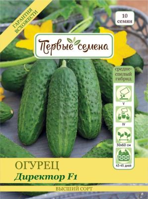 Огурец Директор F1, 10 шт семян (Лучшая цена)