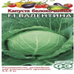 Капуста б/к Валентина F1, 10 шт семян (Лучшая цена)
