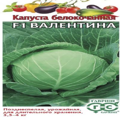 Капуста б/к Валентина F1, 10 шт семян (Лучшая цена)