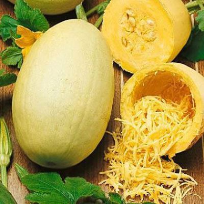 Кабачок спагетти Кулинарный (Лучшая цена)