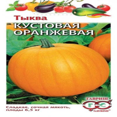 Тыква Кустовая оранжевая, 1 г (Лучшая цена)