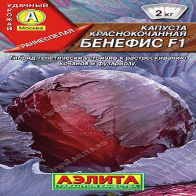Капуста к/к Бенефис F1, 0.1 г (Лучшая цена)