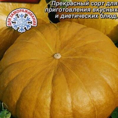 Тыква крупноплодная Толстушка (Лучшая цена)