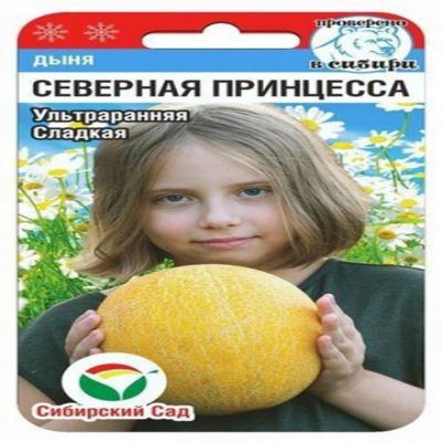 Дыня Северная принцесса, 7 шт семян (Лучшая цена)