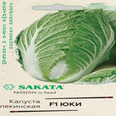Капуста пекинская Юки F1, 10 шт семян (Лучшая цена)