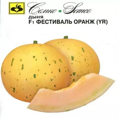 Дыня Фестиваль Оранж F1, 5  шт семян (Лучшая цена)