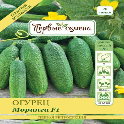 Огурец Моринга F1, 0.5 г (Лучшая цена)