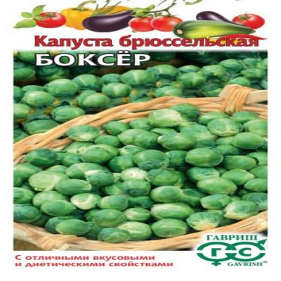Капуста брюссельская Боксер, 0.2 г (Лучшая цена)