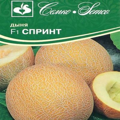 Дыня Спринт F1, 5 шт семян (Лучшая цена)