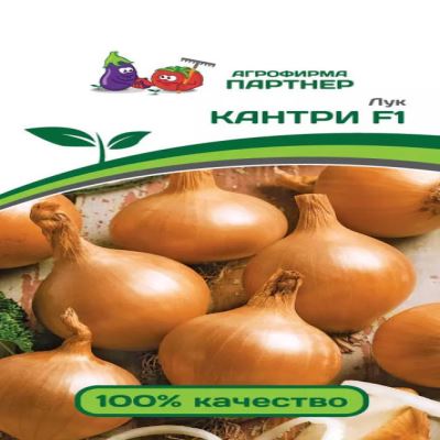 Лук репчатый Кантри F1, 0.5 г (Лучшая цена)