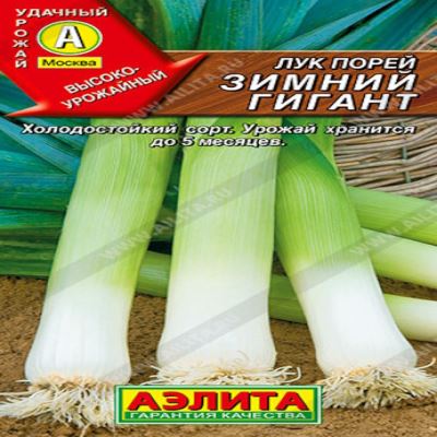 Лук порей Зимний гигант, 0.5 г (Лучшая цена)