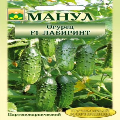Огурец Лабиринт  F1, 10 шт семян (Лучшая цена)