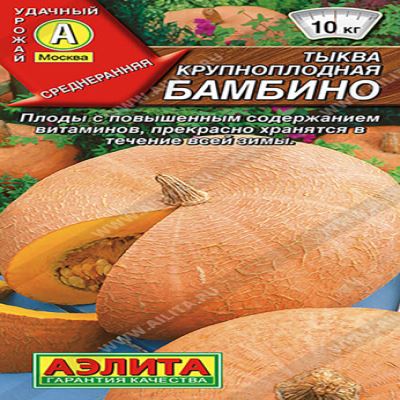 Тыква крупноплодная Бамбино, 1 г (Лучшая цена)