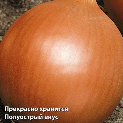 Лук репчатый Есаул F1 (Лучшая цена)