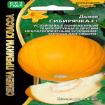 Дыня Сибирячка F1, 10 шт семян (Лучшая цена)