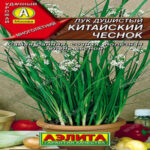Лук душистый Китайский чеснок, 0.3 г (Лучшая цена)
