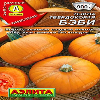 Тыква твердокорая Бэби, 1 г (Лучшая цена)