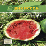 Арбуз Зенит, 10 шт семян (Лучшая цена)