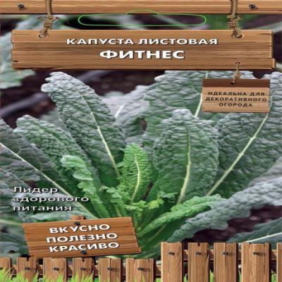 Капуста листовая Фитнес, 0.1 г (Лучшая цена)