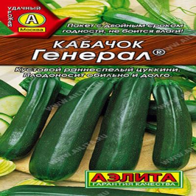 Кабачок цуккини Генерал, 1 г (Лучшая цена)
