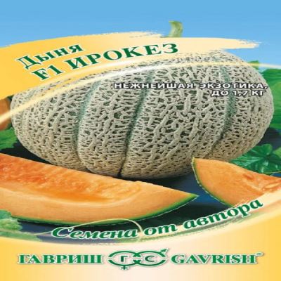 Дыня Ирокез F1, 15 шт семян (Лучшая цена)