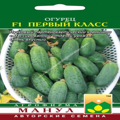 Огурец Первый класс F1, 10 шт семян (Лучшая цена)