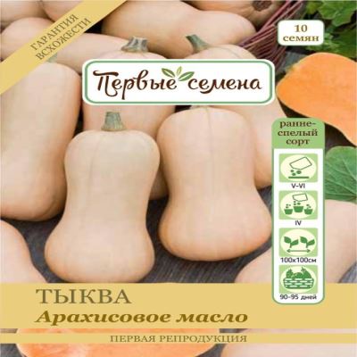Тыква Арахисовое масло, 10 шт семян (Лучшая цена)
