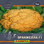 Капуста цветная Оранжелла F1, 5 шт семян (Лучшая цена)