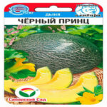 Дыня Черный принц, 5 шт семян (Лучшая цена)