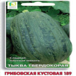 Тыква твердокорая Грибовская кустовая 189, 10 шт семян (Лучшая цена)