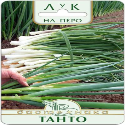 Лук на перо (батун) Танто, 0.25 г (Лучшая цена)