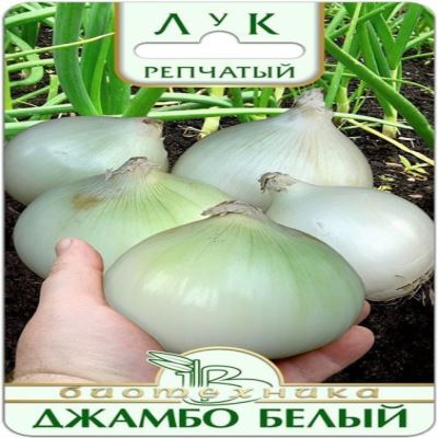 Лук репчатый Джамбо Белый, 0.5 г (Лучшая цена)
