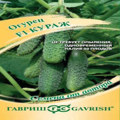 Огурец Кураж F1, 10 шт семян (Лучшая цена)