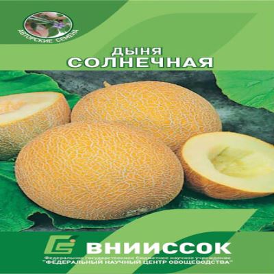 Дыня Солнечная, 10 шт семян (Лучшая цена)