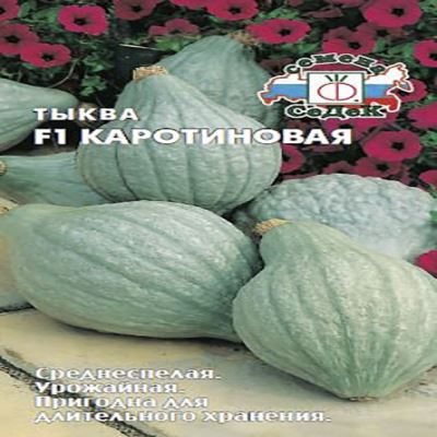 Тыква Каротиновая F1, 1.5 г (Лучшая цена)