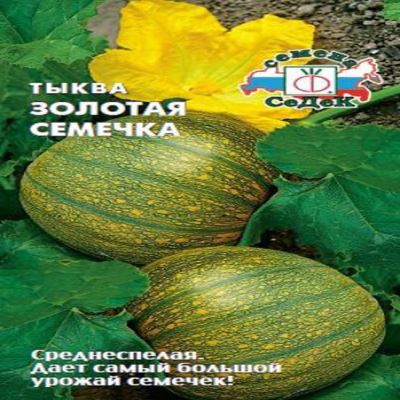 Тыква Золотая семечка, 2 г (Лучшая цена)