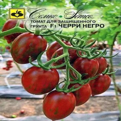 Томат Черри Негро F1, 5 шт семян (Лучшая цена)