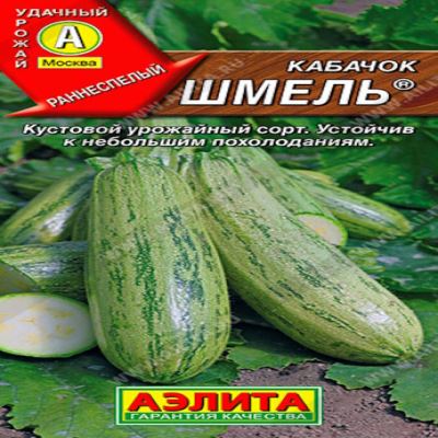 Кабачок цуккини Шмель, 1 г (Лучшая цена)