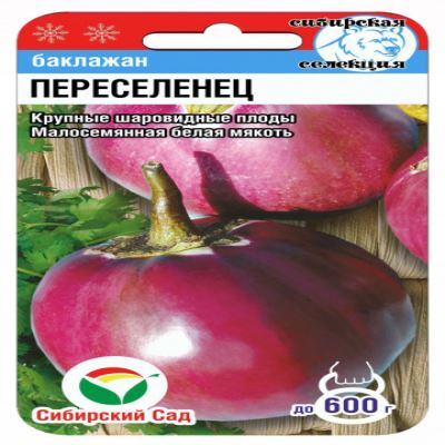 Баклажан Переселенец, 20 шт семян (Лучшая цена)