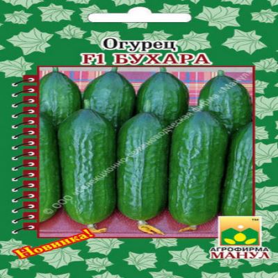 Огурец Бухара F1, 10 шт семян (Лучшая цена)