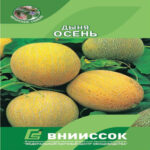 Дыня Осень, 10 шт семян (Лучшая цена)