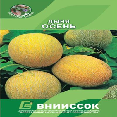 Дыня Осень, 10 шт семян (Лучшая цена)