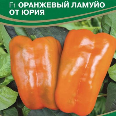 Перец сладкий Оранжевый Ламуйо от Юрия F1, 5 шт семян (Лучшая цена)
