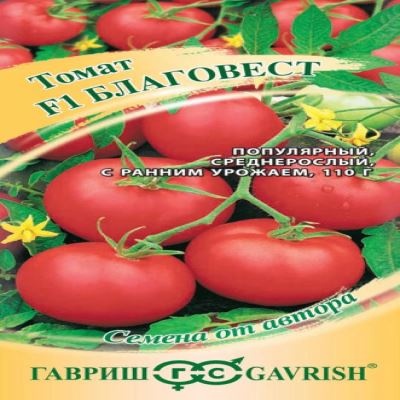 Томат Благовест F1, 12 шт (Лучшая цена)