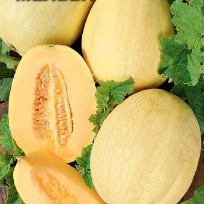 Дыня Мельба, 0.5 г (Лучшая цена)