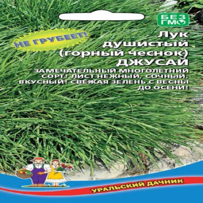 Лук душистый Джусай (горный чеснок), 0.25 г (Лучшая цена)