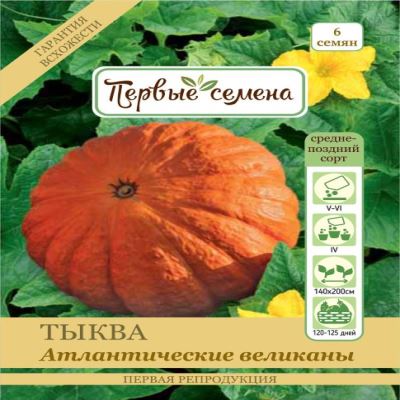 Тыква крупноплодная Атлантические великаны, 6 шт семян (Лучшая цена)