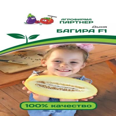 Дыня Багира F1, 5 шт семян (Лучшая цена)