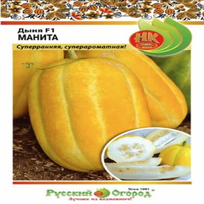 Дыня Манита, 5 шт (Лучшая цена)