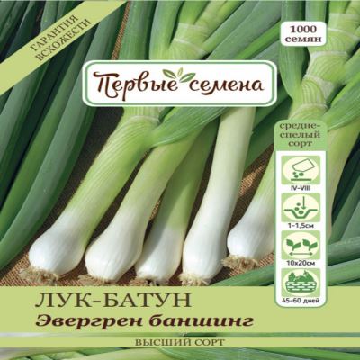 Лук-батун Эвергрен баншинг, 1 г (Лучшая цена)